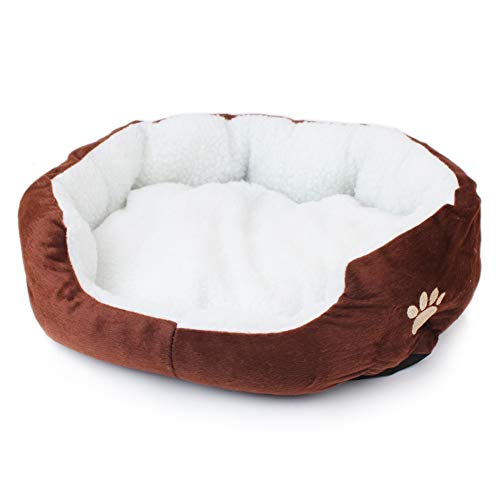 WESEEDOO Hundebetten Für Mittlere Hunde Hundebett Kleine Hunde Luxus Hundebett Kleines Katzenbett Flauschiges Katzenbett Hundebett Klein Plüsch Hundebett Brown,50 * 40cm von WESEEDOO