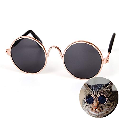 WESEEDOO Hundebrille Für Kleine Hunde Brille Hund UV-Brille für Hund Faltbare Hundesonnenbrille Welpen Sonnenbrille Schutzbrille Gläser für Katzen Black von WESEEDOO