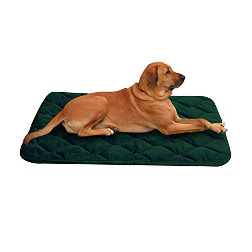 WESEEDOO Hundedecke Katzendecke Hundebett Zubehör Katzenbetten Flauschige Katze Mat Hundekiste Bett Faltbares Haustierbett Haustierbett Haustier-Auflage Green,s von WESEEDOO