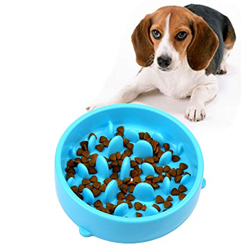 WESEEDOO Hundenapf Katzennapf Anti Gulp Hundenapf Slow Feeder Fressnapf Katzenfutterschale Katzen Puzzle Feeder rutschfeste Schüssel Welpenfutter Wet Bowl Blue von WESEEDOO