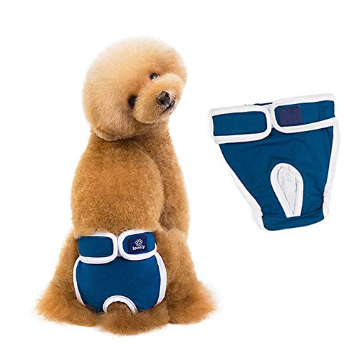 WESEEDOO Hundewindel Läufigkeitshose Für Hündinnen Hundewindeln Hundeunterwäsche Hunde-Damenbinden Physiologische Haustierhosen Windel Hündin Windeln Medium Size Pants Blue,XXL von WESEEDOO