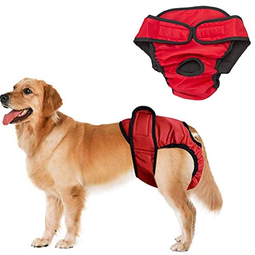 WESEEDOO Hundewindeln RüDe Hundewindel Hunde Periode Hosen Hundesaison Hosen Hundehosen Für Hündinnen In Der Saison Hund Windel männlich Hundesaison Hose groß red,xs von WESEEDOO