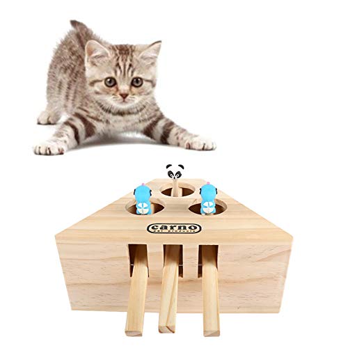 WESEEDOO Katzen Spielsachen Haustier Spielzeug Katze, die Spielzeug spielt Holzpuzzle Box Katzenspielzeug für Indoor-Katzen Katzenkratzspielzeug von WESEEDOO