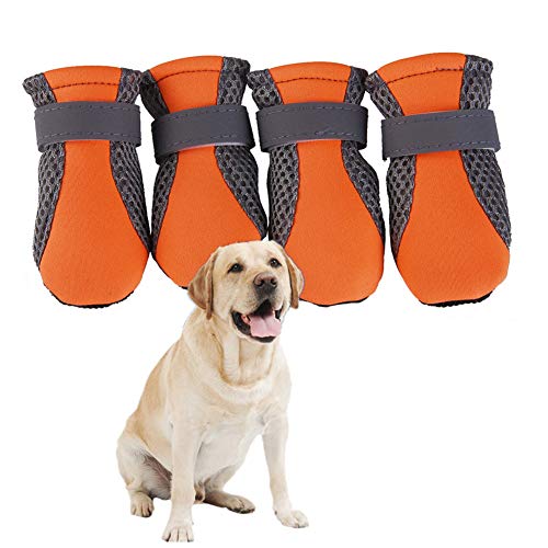 WESEEDOO Pfotenschutz Für Hunde Wasserdicht Pfotenschutz Hund Regenstiefel Hundeschuhe rutschfest Haustierstiefel Hundeschuhe Für Große Hunde Hundesocken orange,m von WESEEDOO