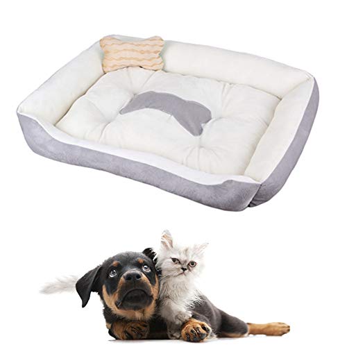 WESEEDOO katzenbett hundebetten für mittlere Hunde Quadratisches Hundebett Günstige Hundebetten Hundekissen Kätzchenbett Hund Schlafsofa Warmes Hundebett beige,l von WESEEDOO