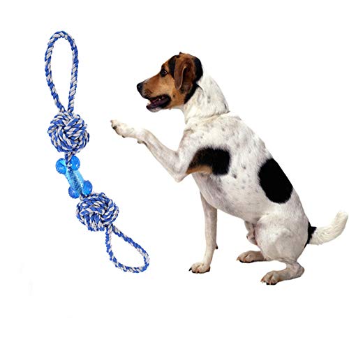 WESEEDOO welpenspielzeug Hund Spielzeug Hund Welpen Hund behandelt für welpen Unzerstörbar Hund Spielzeug Kauen für Hund Hund Seil Spielzeug Hund kauen Blue von WESEEDOO