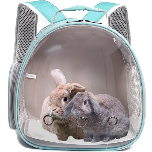 Transparenter Rucksack für Meerschweinchen, Meerschweinchen, Transparent von WEVONIGU