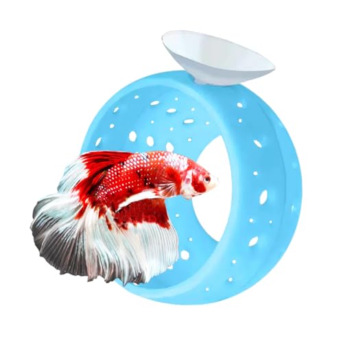 WEWAYKGJ Betta Fischtunnel mit Saugnapf – Aquarium Fisch Versteck Garnelen Höhle Guppy Fisch Tank Zubehör Aquarium Dekor für kleine Fische Garnelen (Blau) von WEWAYKGJ
