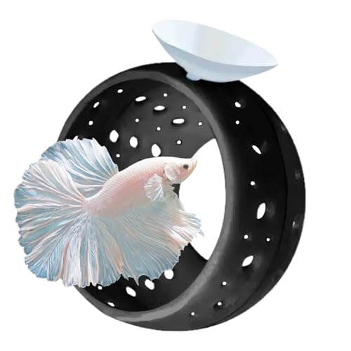 WEWAYKGJ Betta Fischtunnel mit Saugnapf – Aquarium Fisch Versteck Garnelen Höhle Guppy Fisch Tank Zubehör Aquarium Dekor für kleine Fische Garnelen (Schwarz) von WEWAYKGJ