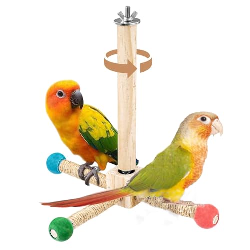 WEWAYKGJ Drehbare Vogelsitzstangen, 360° interaktives rotierendes Papageienspielzeug, Vogelständer, Käfigzubehör für Nymphensittiche, Lovebirds Sittiche, Wellensittiche, kleine Vögel, um Energie zu WEWAYKGJ Drehbare Vogelsitzstangen, 360° interaktives rotierendes Papageienspielzeug, Vogelständer, Käfigzubehör für Nymphensittiche, Lovebirds Sittiche, Wellensittiche, kleine Vögel, um Energie zu von WEWAYKGJ