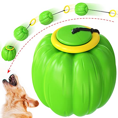 WFLY Haustier Molarenbiss Spielzeug, Hundeseil Spielzeug für die Zahnreinigung, langlebiges Haustier Kinderkrankheiten Kauspielzeug große Rasse (Color : Green) von WFLY
