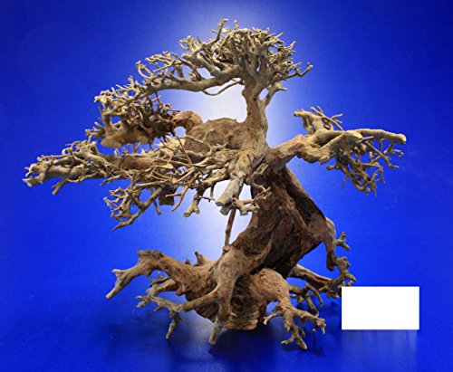 WFW wasserflora Aqua-Bonsai Wurzel Large - Aquascaping Drachenbaum Traumwurzel Groß von WFW wasserflora
