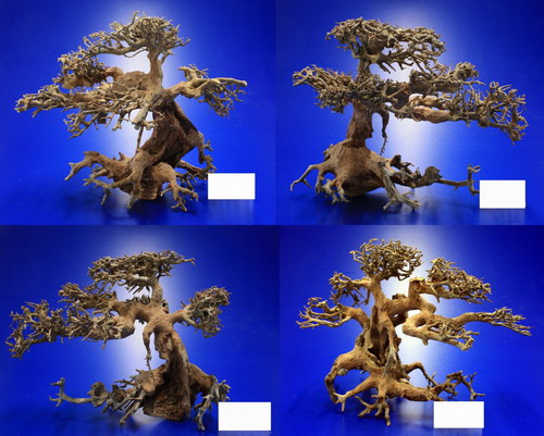 Aqua-Bonsai Wurzel NANO - Aquascaping Drachenbaum Traumwurzel XS von WFW wasserflora