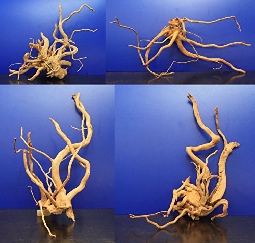 WFW wasserflora Rote Moor-Wurzel/Moorkienholz 40-50cm, Gr. L Deko für Krippe von WFW wasserflora