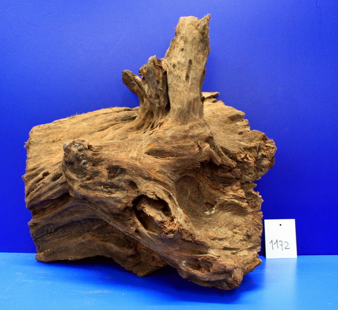 XL Mangroven-Wurzel 30x32x18 Unikat - Traumwurzel #1172 von WFW wasserflora