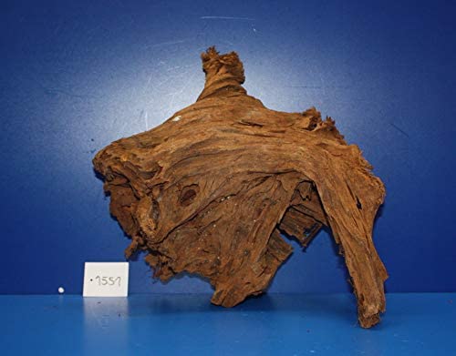 XL Mangroven-Wurzel 33x31x24 Unikat - Traumwurzel #1551 von WFW wasserflora
