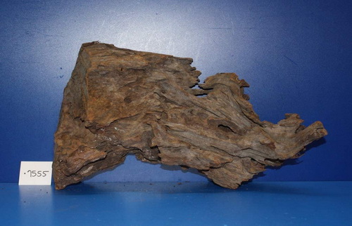 XL Mangroven-Wurzel 41x25x16 Unikat - Traumwurzel #1555 von WFW wasserflora