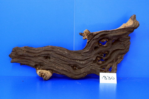 Zweifarbige Traumwurzel #830 Eisenholz/Mopani-Wurzel 41x23x11 von WFW wasserflora