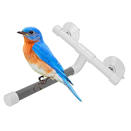 WGFOIP Haustier Papageien Baderohrständer Vogel Dusche Barch Plastikrohrständer mit Saugnäpfe Sicherheit PVC -Material für Kanarischen Papageien Lovebirds 24x25x8cm WGFOIP Haustier Papageien Baderohrständer Vogel Dusche Barch Plastikrohrständer mit Saugnäpfe Sicherheit PVC -Material für Kanarischen Papageien Lovebirds 24x25x8cm von WGFOIP