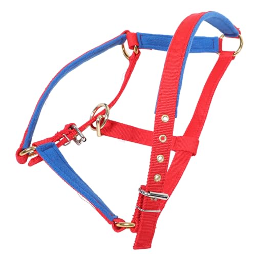 WHAMVOX Essential: Verschleißfestes Pferdehalfter verstellbar für Verschiedene Pferdegrößen Training und Reiten Rot WHAMVOX Essential: Verschleißfestes Pferdehalfter verstellbar für Verschiedene Pferdegrößen Training und Reiten Rot von WHAMVOX