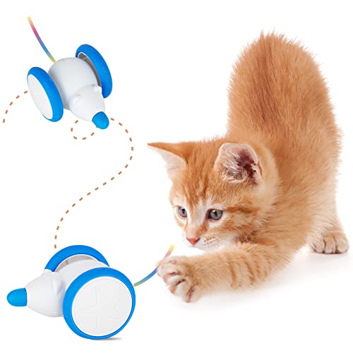 WHDPETS Katzenspielzeug Elektrisch Spielmaus, Interaktives Katzenspielzeug Mäuse, Spielmäuse für Katze mit Leuchtschwanz, Interaktive Spielzeug Maus mit USB Kabel von WHDPETS