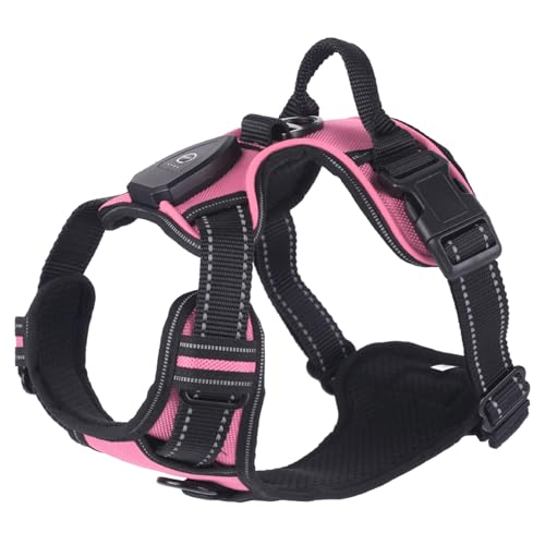 WHFCBJBW Hundegeschirr für Hunde, Brustgurt, LED, mit stabiler Schnalle, für große Hunde, Gassi gehen, Kätzchen, Brustgurt, Hundegeschirr WHFCBJBW Hundegeschirr für Hunde, Brustgurt, LED, mit stabiler Schnalle, für große Hunde, Gassi gehen, Kätzchen, Brustgurt, Hundegeschirr von WHFCBJBW