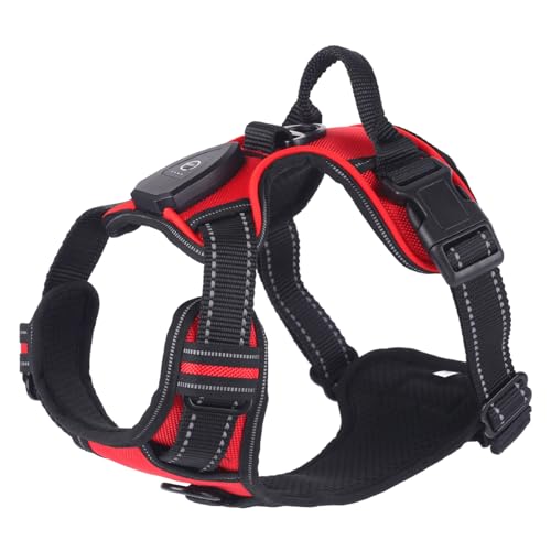 WHFCBJBW Hundegeschirr für Hunde, Brustgurt, LED, mit stabiler Schnalle, für große Hunde, Gassi gehen, Kätzchen, Brustgurt, Hundegeschirr WHFCBJBW Hundegeschirr für Hunde, Brustgurt, LED, mit stabiler Schnalle, für große Hunde, Gassi gehen, Kätzchen, Brustgurt, Hundegeschirr von WHFCBJBW