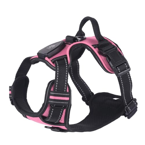 WHFCBJBW Hundegeschirr für Hunde, Brustgurt, LED, mit stabiler Schnalle, für große Hunde, Gassi gehen, Kätzchen, Brustgurt, Hundegeschirr WHFCBJBW Hundegeschirr für Hunde, Brustgurt, LED, mit stabiler Schnalle, für große Hunde, Gassi gehen, Kätzchen, Brustgurt, Hundegeschirr von WHFCBJBW