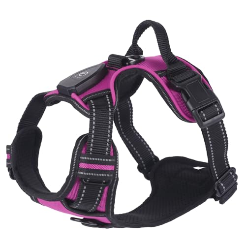 WHFCBJBW Hundegeschirr für Hunde, Brustgurt, LED, mit stabiler Schnalle, für große Hunde, Gassi gehen, Kätzchen, Brustgurt, Hundegeschirr WHFCBJBW Hundegeschirr für Hunde, Brustgurt, LED, mit stabiler Schnalle, für große Hunde, Gassi gehen, Kätzchen, Brustgurt, Hundegeschirr von WHFCBJBW