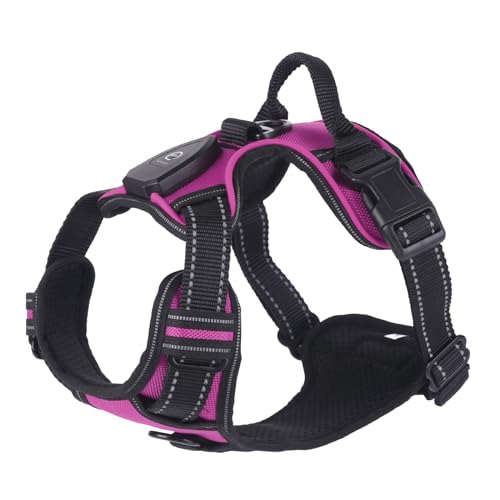 WHFCBJBW Hundegeschirr für Hunde, Brustgurt, LED, mit stabiler Schnalle, für große Hunde, Gassi gehen, Kätzchen, Brustgurt, Hundegeschirr WHFCBJBW Hundegeschirr für Hunde, Brustgurt, LED, mit stabiler Schnalle, für große Hunde, Gassi gehen, Kätzchen, Brustgurt, Hundegeschirr von WHFCBJBW