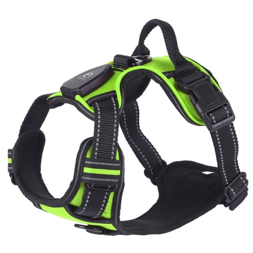 WHFCBJBW Hundegeschirr für Hunde, Brustgurt, LED, mit stabiler Schnalle, für große Hunde, Gassi gehen, Kätzchen, Brustgurt, Hundegeschirr WHFCBJBW Hundegeschirr für Hunde, Brustgurt, LED, mit stabiler Schnalle, für große Hunde, Gassi gehen, Kätzchen, Brustgurt, Hundegeschirr von WHFCBJBW