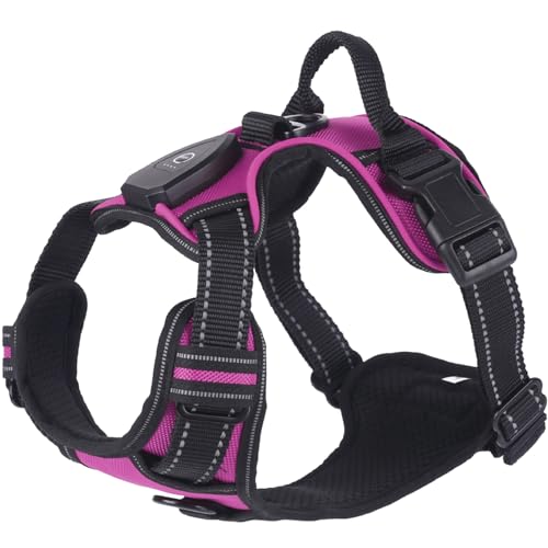 WHFCBJBW Hundegeschirr für Hunde, Brustgurt, LED, mit stabiler Schnalle, für große Hunde, Gassi gehen, Kätzchen, Brustgurt, Hundegeschirr WHFCBJBW Hundegeschirr für Hunde, Brustgurt, LED, mit stabiler Schnalle, für große Hunde, Gassi gehen, Kätzchen, Brustgurt, Hundegeschirr von WHFCBJBW
