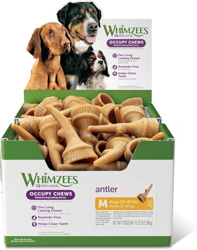 WHIMZEES, Friandises à mâcher naturalelles Pour chiens, 66 Stück, Größe M, fördert die Zahngesundheit, ohne Zusatzstoffe, umweltfreundlich, grüne Farbe, Modèle Snack von WHIMZEES
