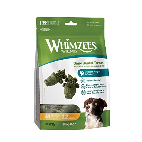 WHIMZEES by Wellness Krokodil, Kaustangen für mittelgroße Hunde, Hundesnack zur Zahnpflege, Größe M, 12 Stück, ohne Zuckerzusatz, getreidefrei, natürlich, fettarm WHIMZEES by Wellness Krokodil, Kaustangen für mittelgroße Hunde, Hundesnack zur Zahnpflege, Größe M, 12 Stück, ohne Zuckerzusatz, getreidefrei, natürlich, fettarm von WHIMZEES
