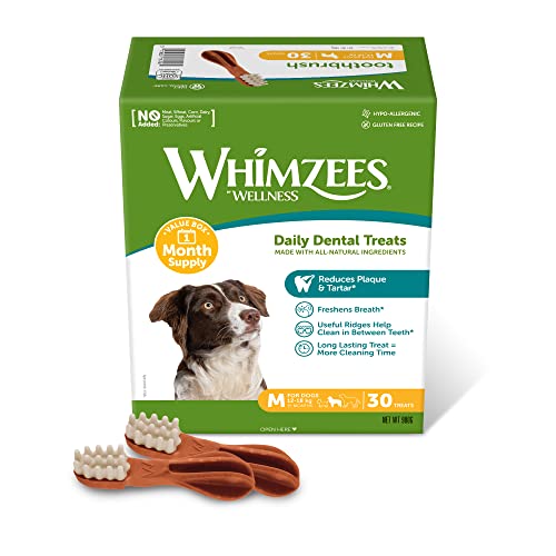 WHIMZEES By Wellness Zahnbürste, natürliche, getreidefreie Zahnpflegesnacks, Kaustangen für mittelgroße Hunde, Monatspackung (30 Stück), Größe M von WHIMZEES