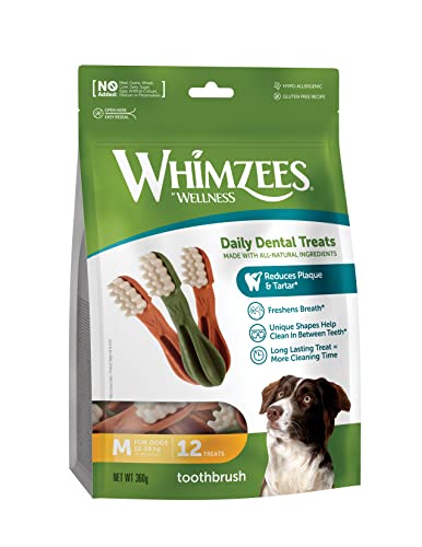 WHIMZEES By Wellness Zahnbürste, natürliche, getreidefreie Zahnpflegesnacks, Kaustangen für mittelgroße Hunde, 12 Stück, Größe M von WHIMZEES