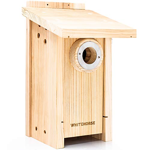 WHITEHORSE Premium-Vogelhaus und Nistkasten – wetterfestes Design – EIN Nistkasten aus Zedernholz – genießen Sie die Beobachtung von Vögeln und unterstützen Sie gleichzeitig europäische Arten von WHITEHORSE