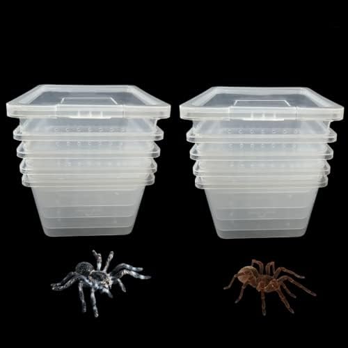 10 Stück Acryl Insekten Reptilien Spinne Terrarien Brutkasten Kleine Größe (5,7 cm x 5,7 cm x 4,2 cm) von WHZAZGW