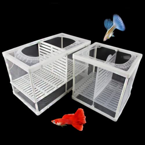 2 Stück Aquarium-Netz, Fisch-Isolationsbox, Nylon-Netz, Fischbraten, Brutkasten, Trennnetz mit Isolationsplatte von WHZAZGW