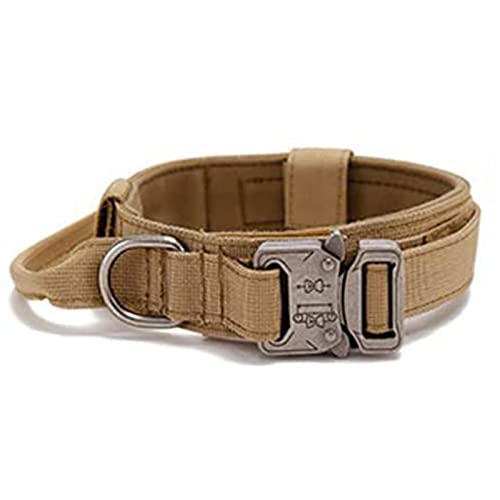 Hundehalsband verstellbar für mittel große Hunde Robustes Polyester mit Metallverschluss und Kontrollgriff für Training Spaziergang und Jagd (M) von WIHFHGZ