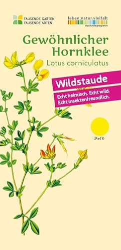 Gewöhnlicher Hornklee | Lotus corniculatus in Bio-Qualität (torffrei), TOP Wildbienen- und Schmetterlingspflanze, Kübel geeignet, im 0,69L Topf, Wildpflanze, liebevolle Handarbeit (5er Set) von WILDBLUMENWELT