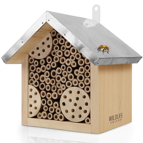 WILDLIFE FRIEND I Bienenhotel mit Metalldach, Wildbienen Insektenhotel - Fertig Montiert aus Kiefernholz & 100% Wetterfest - Unbehandelt, Insektenhotel, Nisthilfe für Wildbienen WILDLIFE FRIEND I Bienenhotel mit Metalldach, Wildbienen Insektenhotel - Fertig Montiert aus Kiefernholz & 100% Wetterfest - Unbehandelt, Insektenhotel, Nisthilfe für Wildbienen von WILDLIFE FRIEND