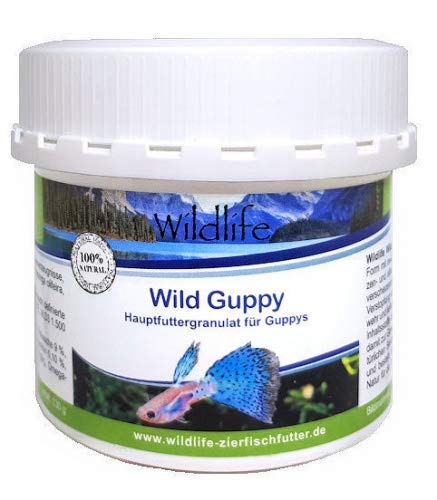 WILDLIFE Wild Guppy Hauptfutter speziell für Guppys, 130 g von WILDLIFE