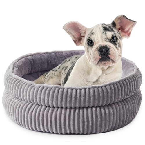 Hundebetten für kleine Hunde, Welpenhütte, rundes Katzenbett für Hauskatzen, bequem, langlebig, waschbares Deluxe-Plüsch-Kätzchenbett und rutschfeste Unterseite, Grau, 61 x 61 x 22,9 cm (L x B x T) von WINDRACING