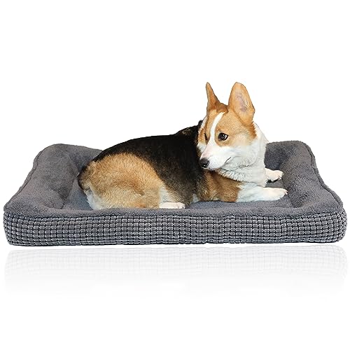 WINDRACING Hundebett-Matratze, für mittelgroße und große Hunde, passend für Metall, ultraweich, waschbar und rutschfest, für Hunde, gemütliche Schlafmatte, Grau, 106,7 cm von WINDRACING