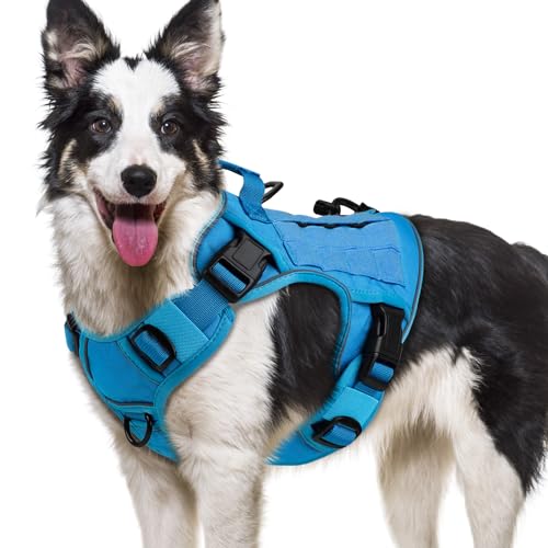 WINGOIN Blaues Taktisches Hundegeschirr für große Hunde, kein Ziehen, verstellbares Haustiergeschirr mit Griff, reflektierend, K9, Militärdienst, Hundeweste für Spaziergänge, Wandern, Training (XL) WINGOIN Blaues Taktisches Hundegeschirr für große Hunde, kein Ziehen, verstellbares Haustiergeschirr mit Griff, reflektierend, K9, Militärdienst, Hundeweste für Spaziergänge, Wandern, Training (XL) von WINGOIN