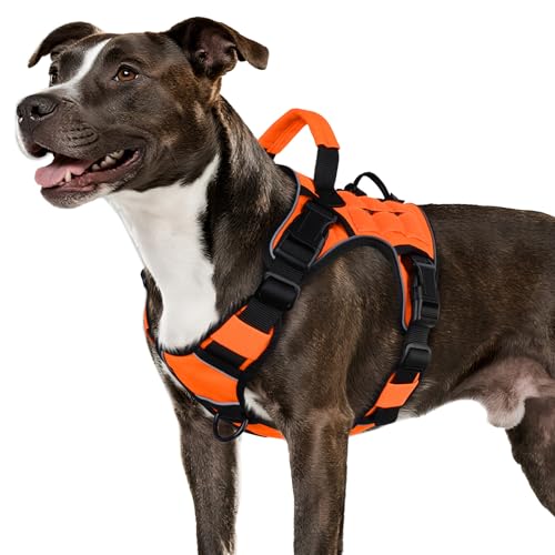 WINGOIN Orange Taktisches Hundegeschirr für mittelgroße Hunde, strapazierfähig, kein Ziehen, Hundegeschirr mit Griff, verstellbar, reflektierend, Militär, K9, Haustierweste für Pitbull, weiblich WINGOIN Orange Taktisches Hundegeschirr für mittelgroße Hunde, strapazierfähig, kein Ziehen, Hundegeschirr mit Griff, verstellbar, reflektierend, Militär, K9, Haustierweste für Pitbull, weiblich von WINGOIN