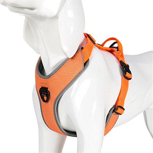 WINHYE PET Truelove Hundegeschirr Reflektierend für kleine mittelgroße Hunde, Pet Vest Quick Fit Release Adjustbale zum Laufen Gehen Gepolsterte Soft Mesh Hunde Easy Control Pets TLH6071 (Orange, M) WINHYE PET Truelove Hundegeschirr Reflektierend für kleine mittelgroße Hunde, Pet Vest Quick Fit Release Adjustbale zum Laufen Gehen Gepolsterte Soft Mesh Hunde Easy Control Pets TLH6071 (Orange, M) von WINHYEPET