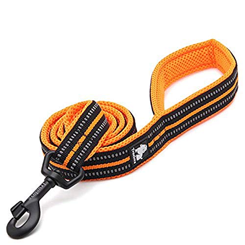 WINHYEPET Dog Leash Nylon Reflective Comfortable Handle Lead Puppy Training Walking Rope Easy Control Suitable Small Medium Large Breeds 110cm Length WHPEU32111 (Orange, L) von WINHYEPET
