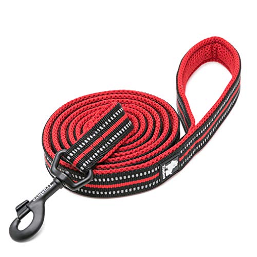 WINHYEPET Dog Leash Nylon Reflective Comfortable Handle Lead Puppy Training Walking Rope Easy Control Suitable Small Medium Large Breeds 110cm Length WHPEU32111 (Red, XS) von WINHYEPET